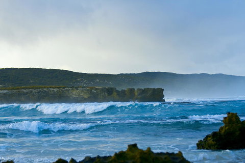 Hanson Bay Cabins - Australia Shopping 18