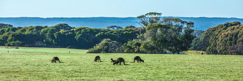 Hanson Bay Cabins - Australia Shopping 23