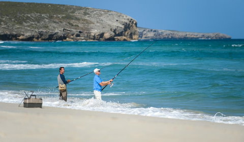 Hanson Bay Cabins - Australia Shopping 17