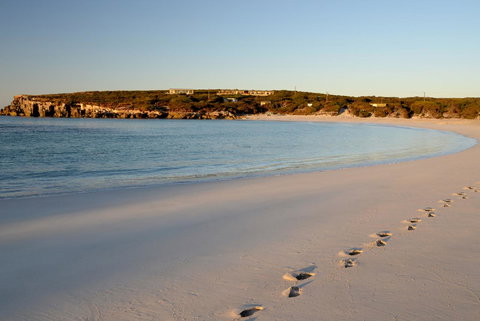 Hanson Bay Cabins - Australia Shopping 16
