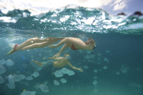 Tangalooma Island Resort - Accommodation Australia 4