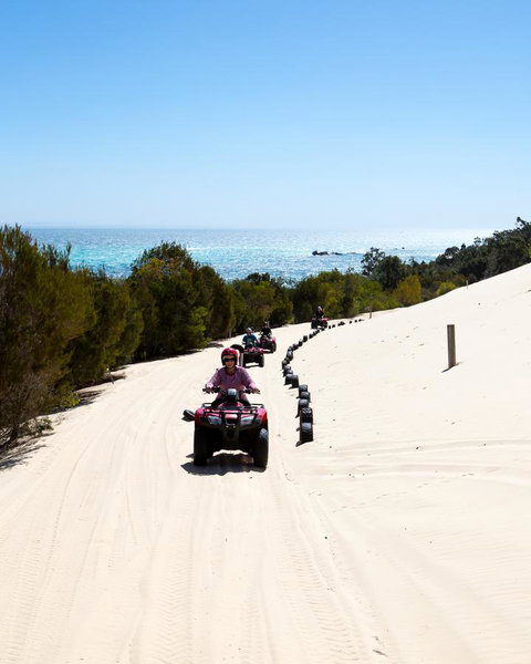 Tangalooma Island Resort - Accommodation Australia 11