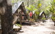 Roamer Magnetic Island Koala Park - Formerly Selina Magnetic Island - thumb 6