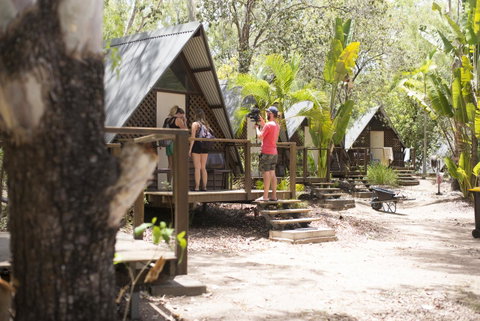 Roamer Magnetic Island Koala Park - Formerly Selina Magnetic Island - Accommodation Australia 6