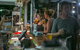 Roamer Magnetic Island Koala Park - Formerly Selina Magnetic Island - thumb 31
