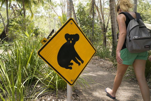 Roamer Magnetic Island Koala Park - Formerly Selina Magnetic Island - Accommodation Australia 27