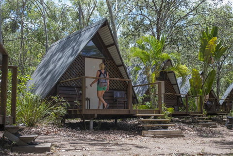 Roamer Magnetic Island Koala Park - Formerly Selina Magnetic Island - Accommodation Australia 5