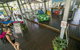 Roamer Magnetic Island Koala Park - Formerly Selina Magnetic Island - thumb 19