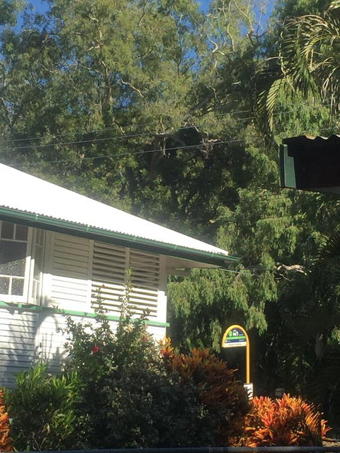 Daggoombah Holiday Home Magnetic Island - Accommodation Australia 15