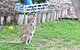 From Bush2Beach Holiday Home - thumb 41