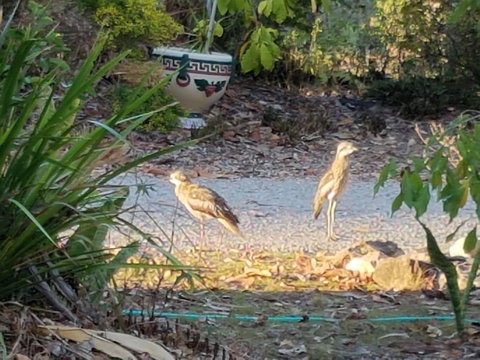 From Bush2Beach Holiday Home - Accommodation Australia 37