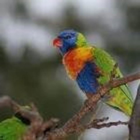 From Bush2Beach Holiday Home - Accommodation Australia 39