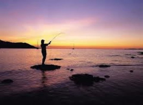 From Bush2Beach Holiday Home - Accommodation Australia 43