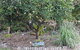 From Bush2Beach Holiday Home - thumb 42
