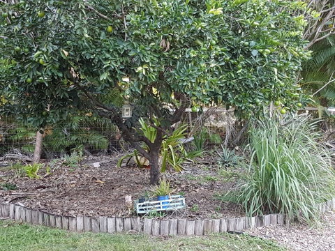 From Bush2Beach Holiday Home - Accommodation Australia 42