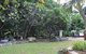 From Bush2Beach Holiday Home - thumb 22