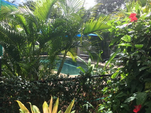 Tropical Palms Resort & 4WD Hire - Accommodation Australia 19
