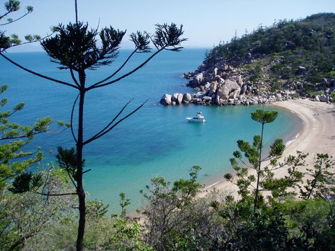 Tropical Palms Resort & 4WD Hire - Accommodation Australia 33