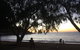 Tropical Palms Resort & 4WD Hire - thumb 12