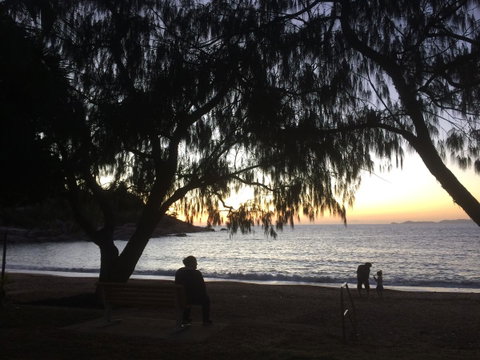 Tropical Palms Resort & 4WD Hire - Accommodation Australia 12