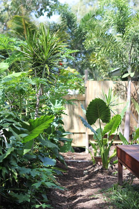 Island Cottages - Accommodation Australia 2