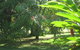 Magnetic Island Bed And Breakfast - thumb 36