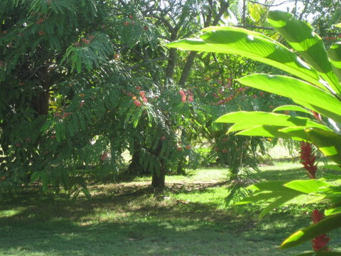 Magnetic Island Bed And Breakfast - Accommodation Australia 36