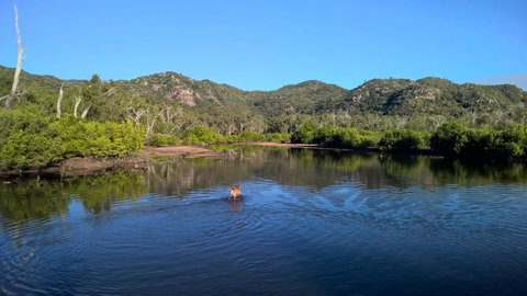 Magnetic Island Bed And Breakfast - Accommodation Australia 8