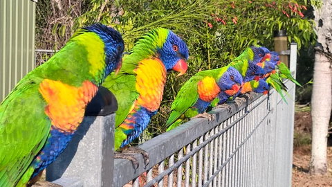 Magnetic Island Bed And Breakfast - Accommodation Australia 6