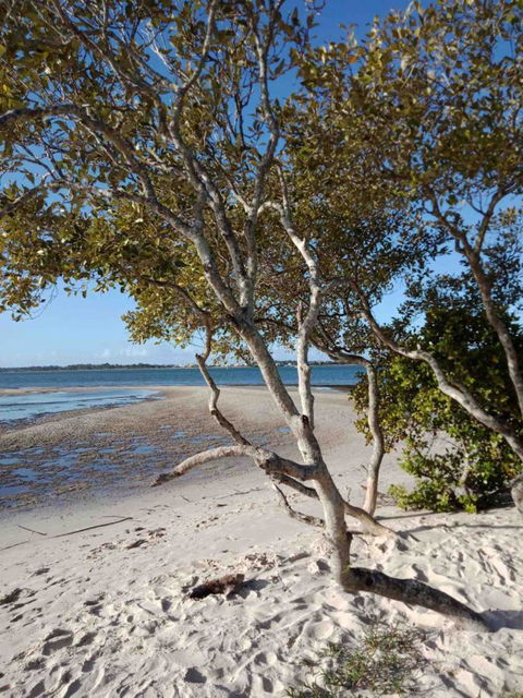 Modern Beach Villa - Accommodation Australia 15