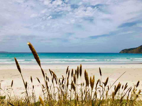 Modern Beach Villa - Accommodation Australia 14