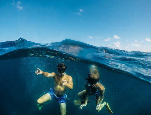 Manta Lodge YHA & Scuba Centre - Accommodation Australia 12