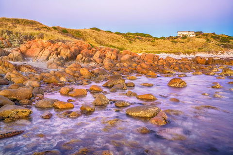Porky Beach Retreat - King Island Escapes - Accommodation Australia 9