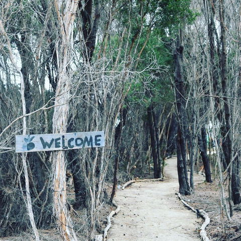 Flinders Island Glamping - Bed n Breakfasts 0