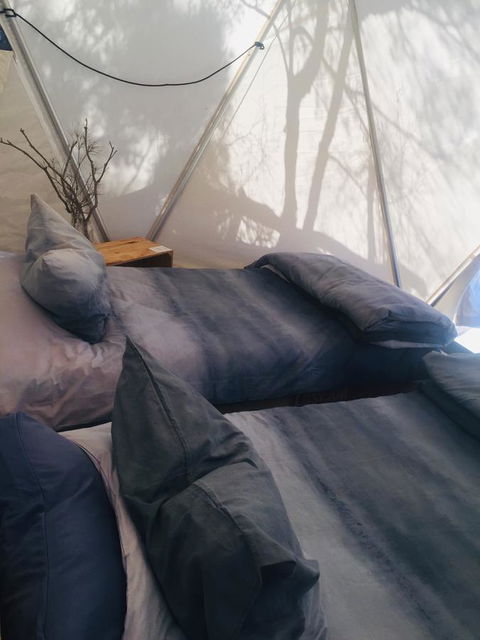 Flinders Island Glamping - Bed n Breakfasts 6