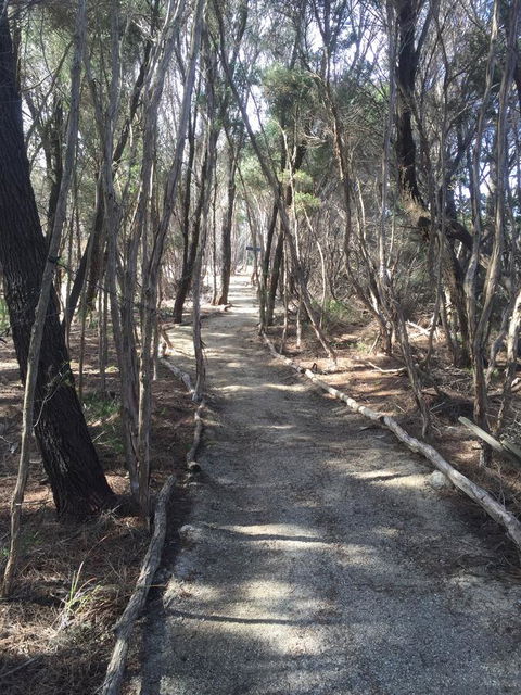 Flinders Island Glamping - Bed n Breakfasts 1