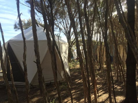Flinders Island Glamping - Bed n Breakfasts 7