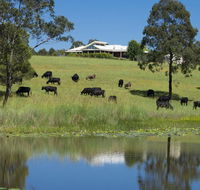 'Talumberi' 221 Trapyard Road - Accommodation Australia