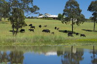 Book Nabiac Accommodation Vacations Accommodation Australia Accommodation Australia