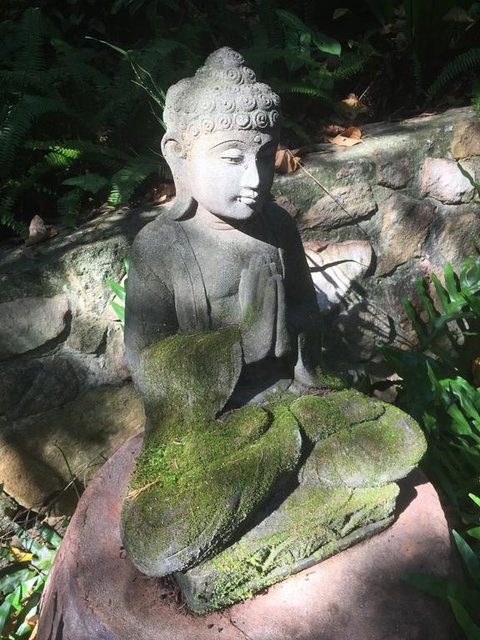 'The Tree House.' Treetop Living Near The Ocean, Coolum Beach, QLD, Australia - Australia Shopping 0