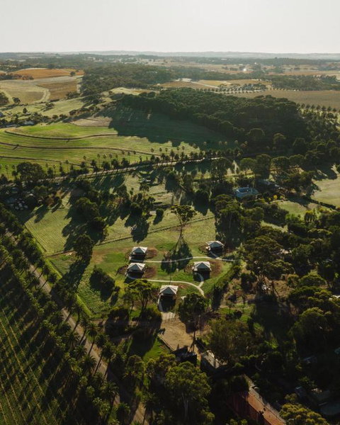CANVS By CABN Seppeltsfield Barossa - Local Tourism 1