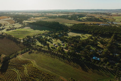 CANVS By CABN Seppeltsfield Barossa - Local Tourism 2