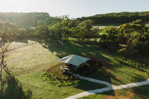 CANVS By CABN Seppeltsfield Barossa - Local Tourism 0