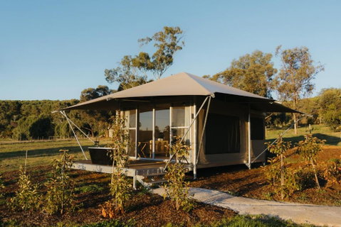 CANVS By CABN Seppeltsfield Barossa - Local Tourism 3