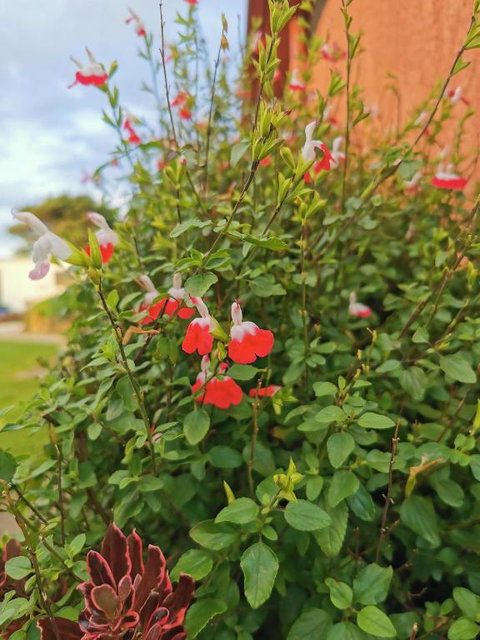 Colac Otway Caravan & Cabin Park - Accommodation Australia 2