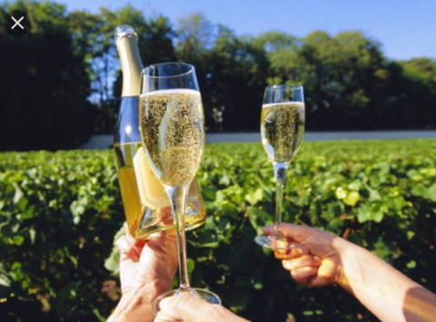 D110 Sweet Melon Super Stay-fantastic - Accommodation Australia 4