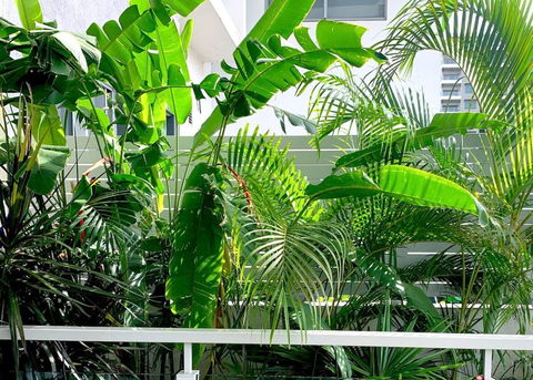Darwin City Chic@Kube Apartments - Accommodation Australia 4
