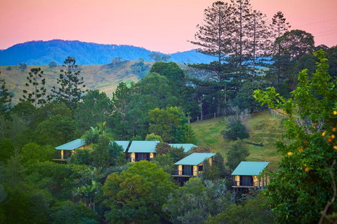 Dayboro Cottages - Accommodation Australia 0