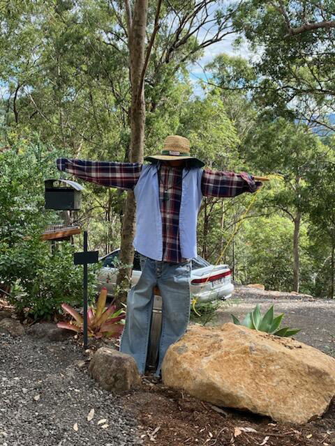 424 Trees - Accommodation Australia 3