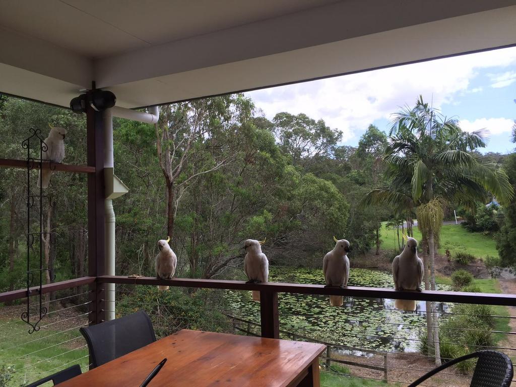 Upper Coomera QLD Accommodation Australia